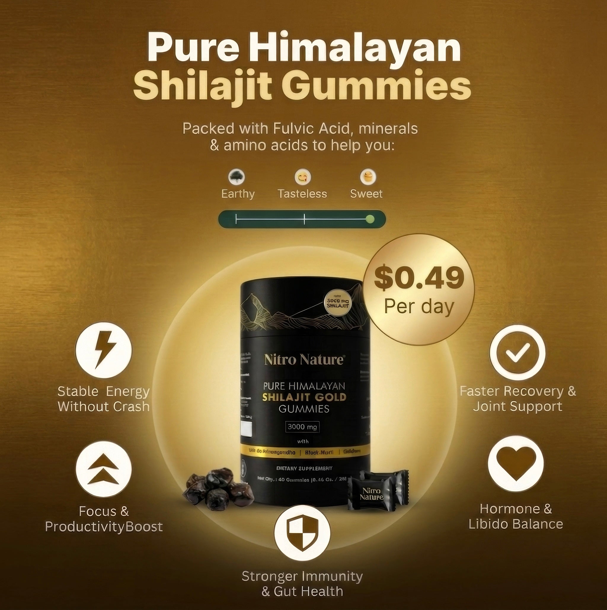 Nitro Nature Pure Himalayan Shilajit Gummies benefits infographic showing stable energy, focus and productivity boost, faster recovery and joint support, hormone and libido balance, and stronger immunity at just 49 cents per day